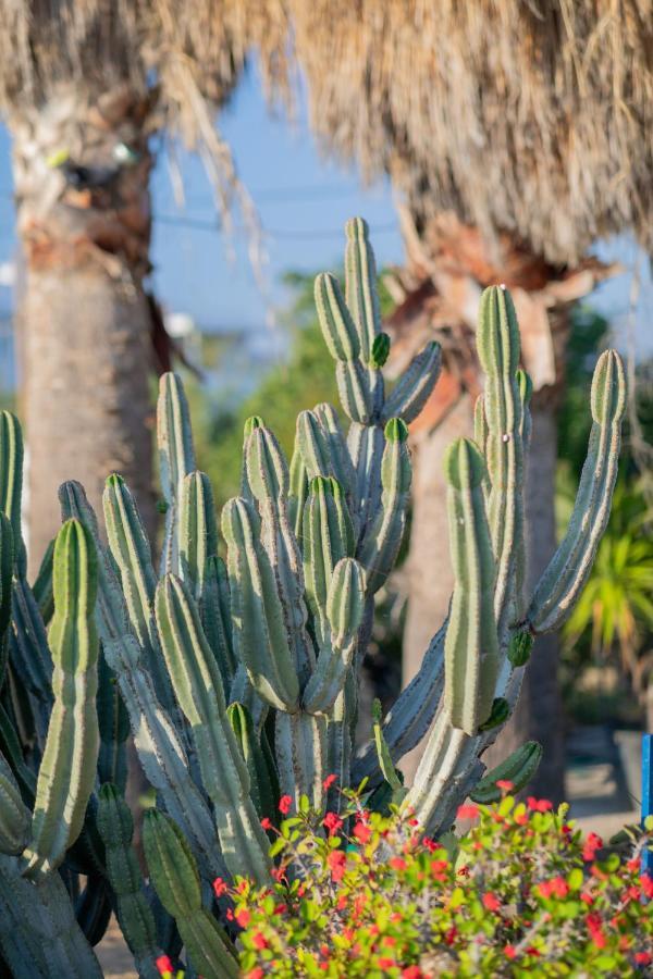 Antonina Hotel Agia Anna  エクステリア 写真