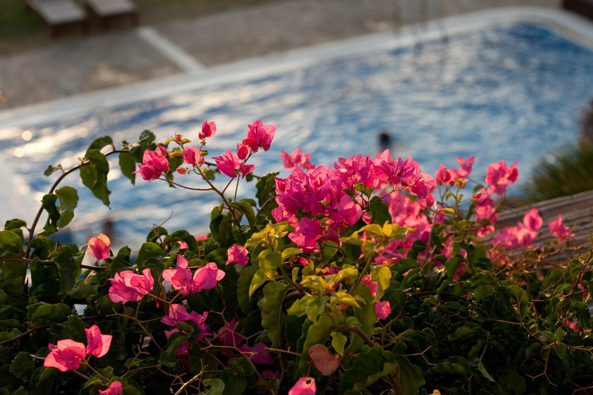 Antonina Hotel Agia Anna  エクステリア 写真